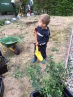Kind mit Schaufel und Schubkarre gräbt ein Loch, um einen Baum einpflanzen zu können.