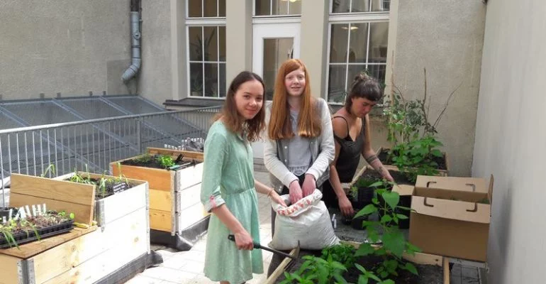 Hochbeetpflanzung | Stiftung Bildung fördert Urban Gardening Projekt