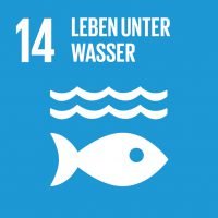 SDG14 - Leben unter Wasser