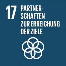 SDG17 - Partnerschaften zur Erreichung der Ziele
