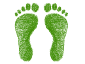 Nachhaltig: ökologischer Fußabdruck (c) ElisaRiva / pixabay